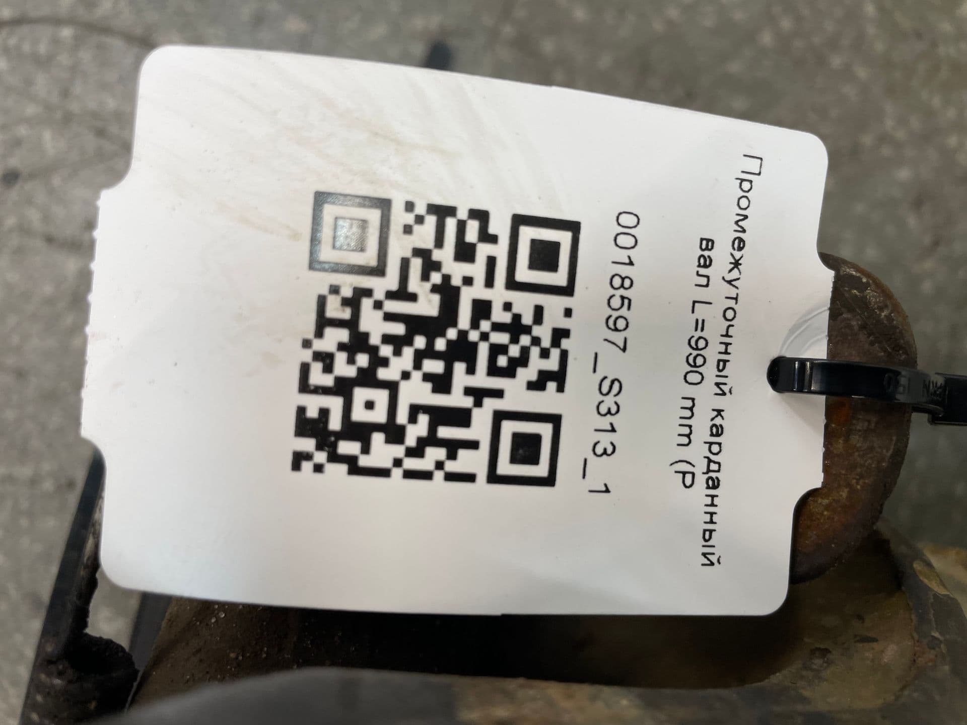 photo-1