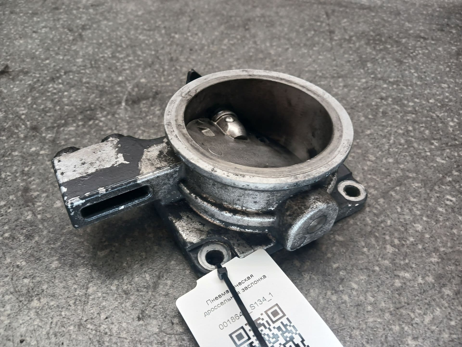 photo-1