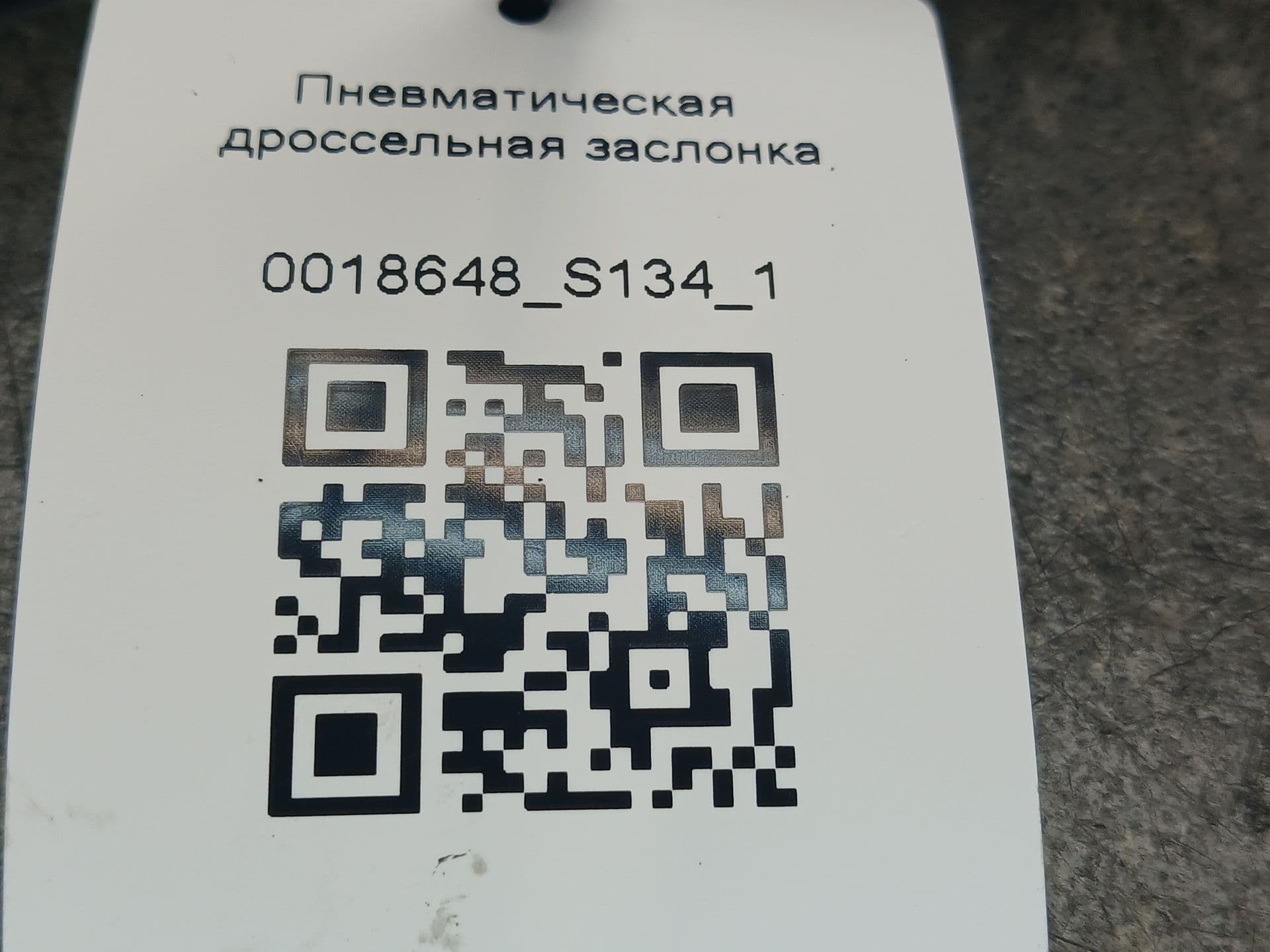 photo-10