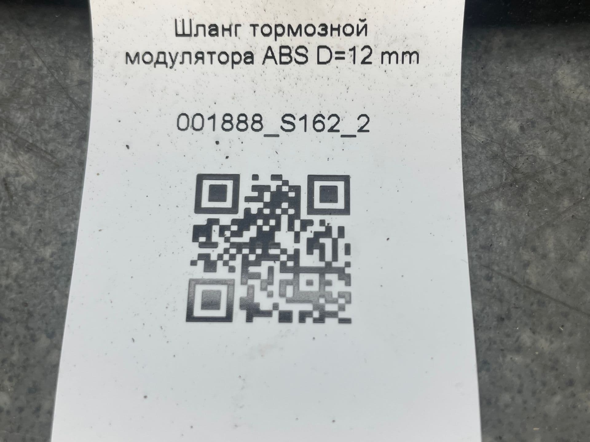 photo-3