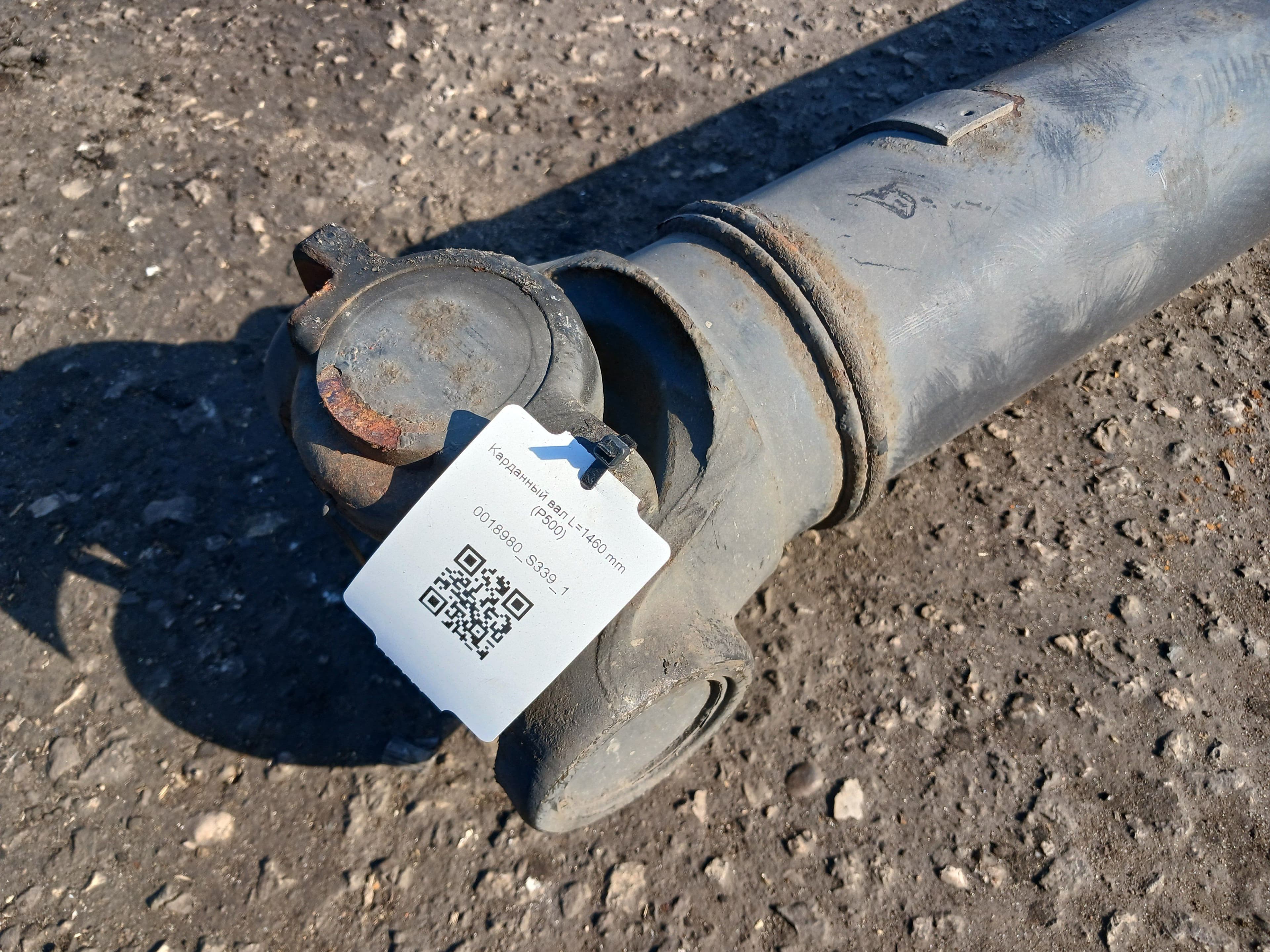 photo-1