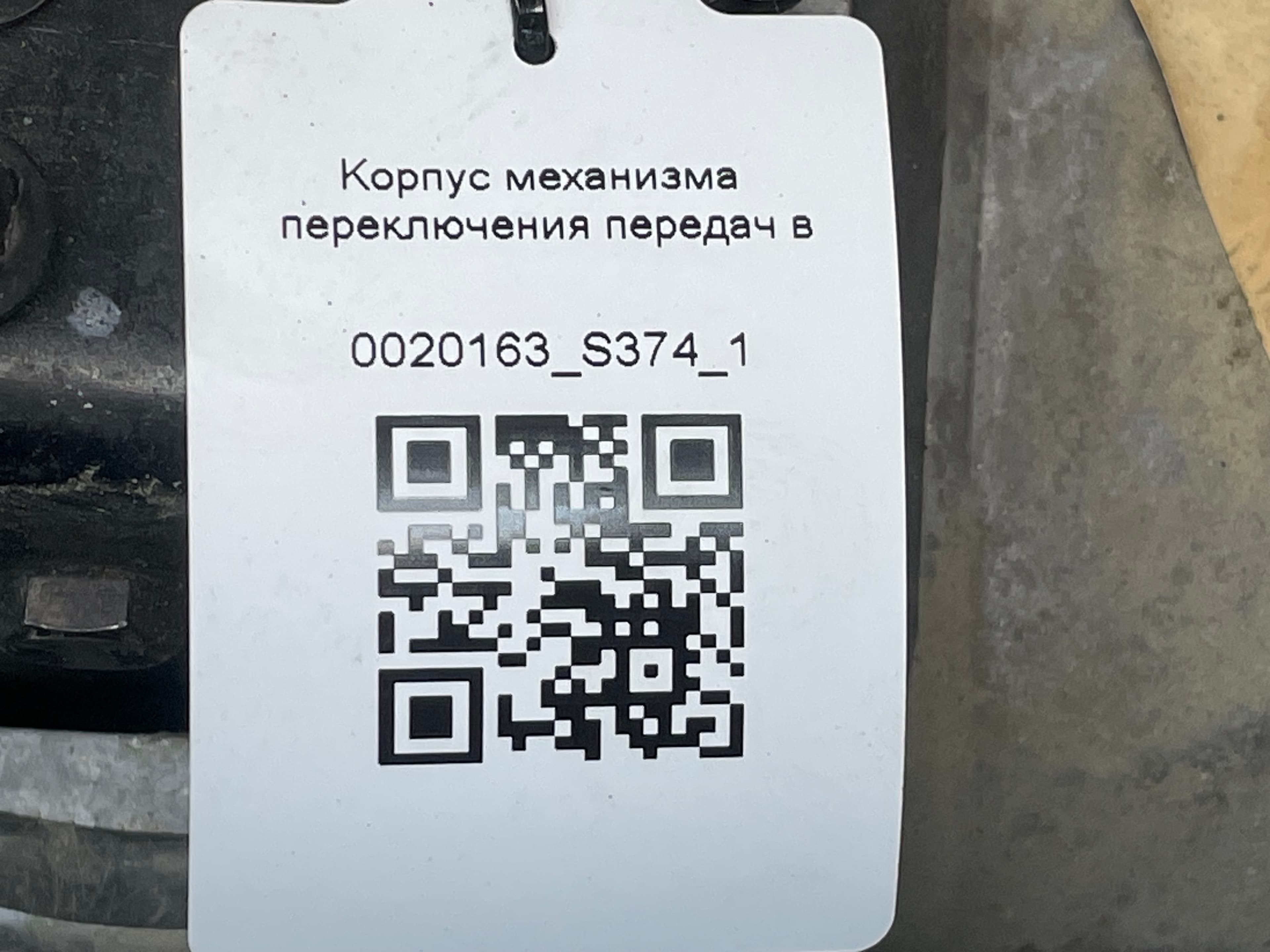photo-7