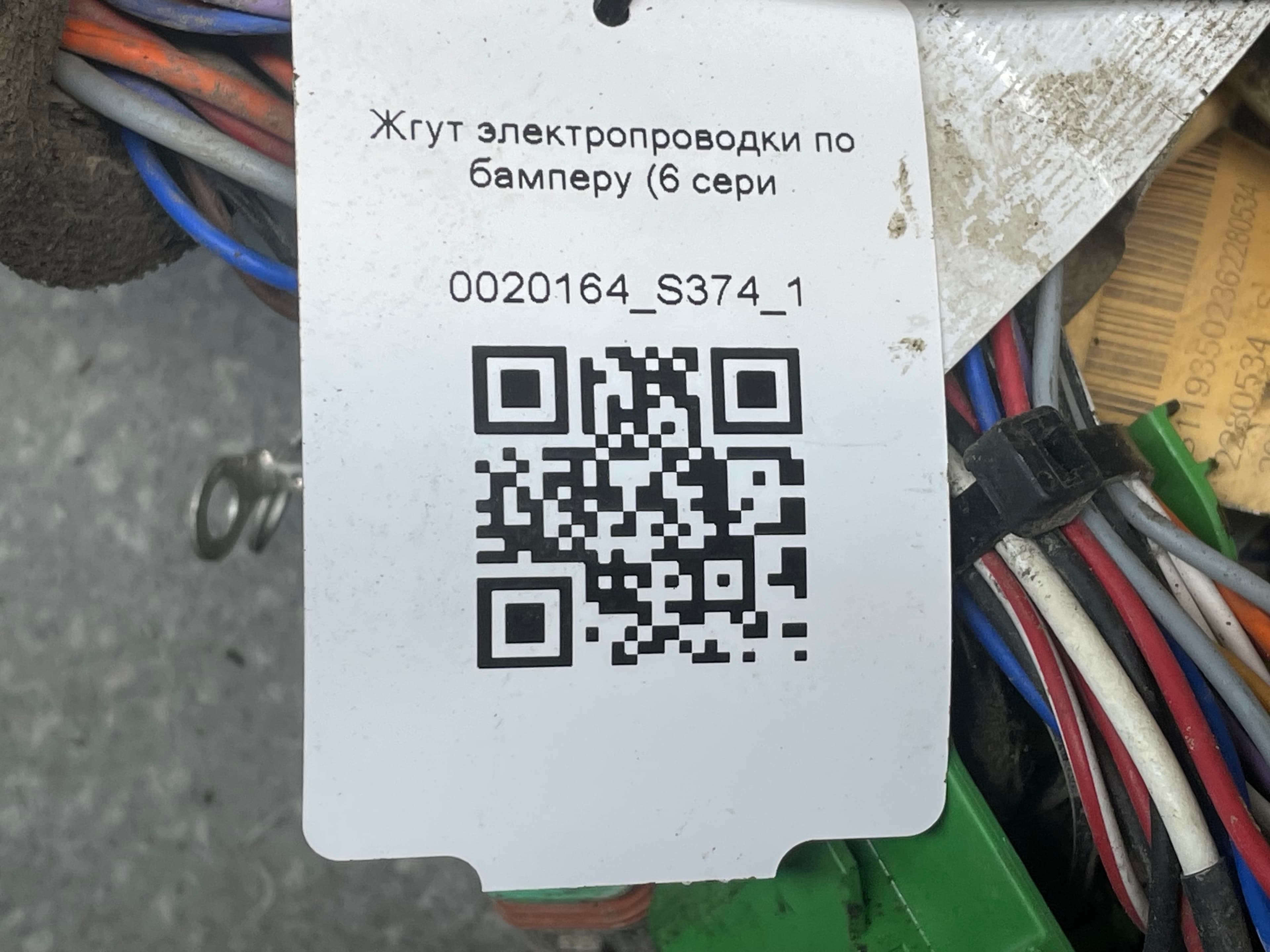 photo-12