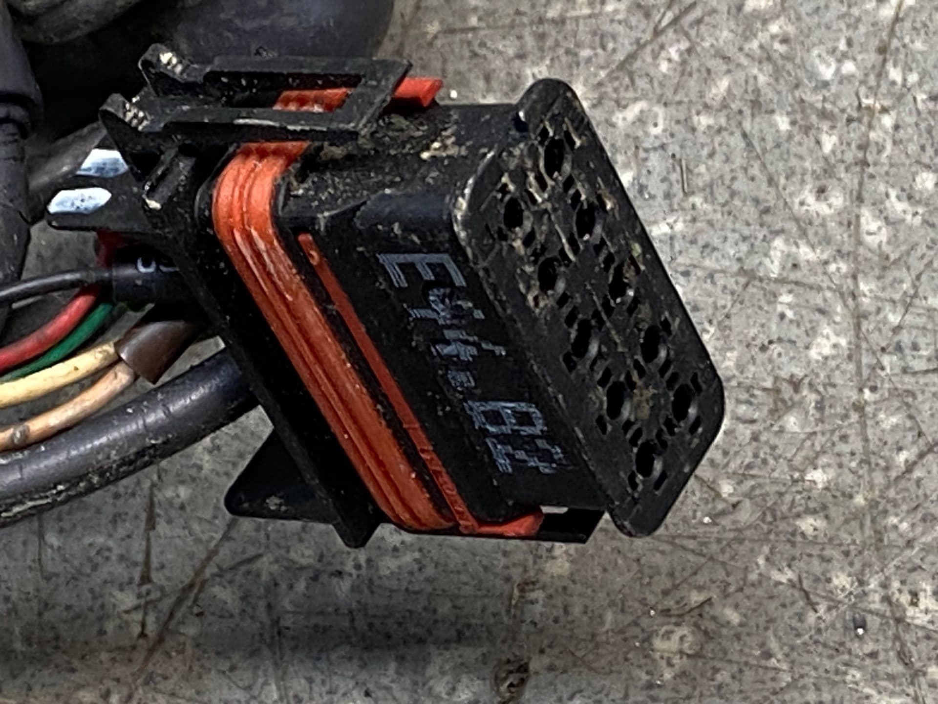 photo-2