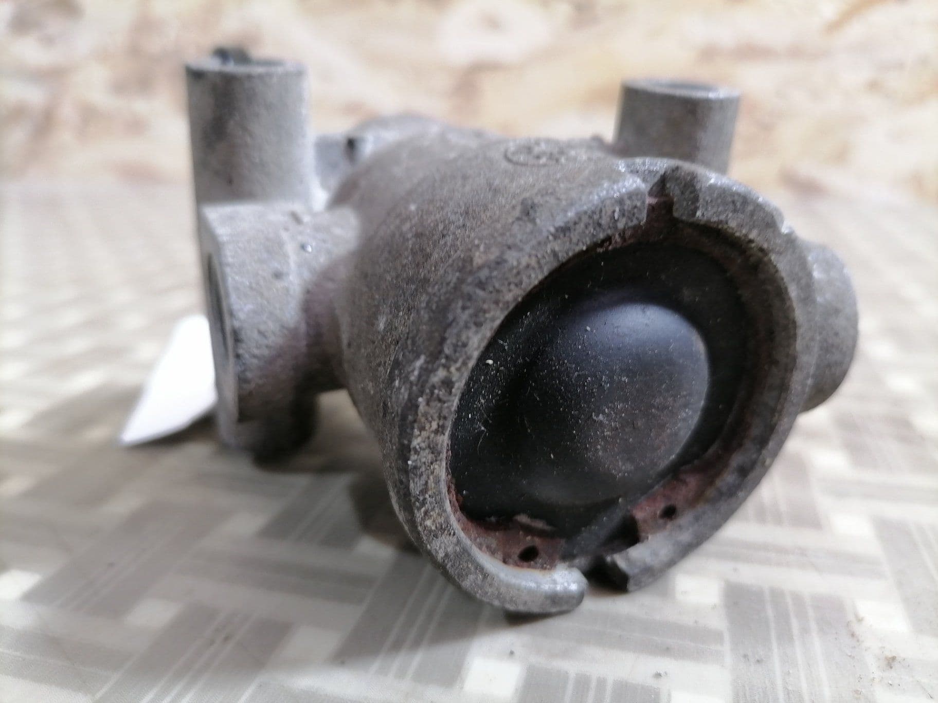 photo-2