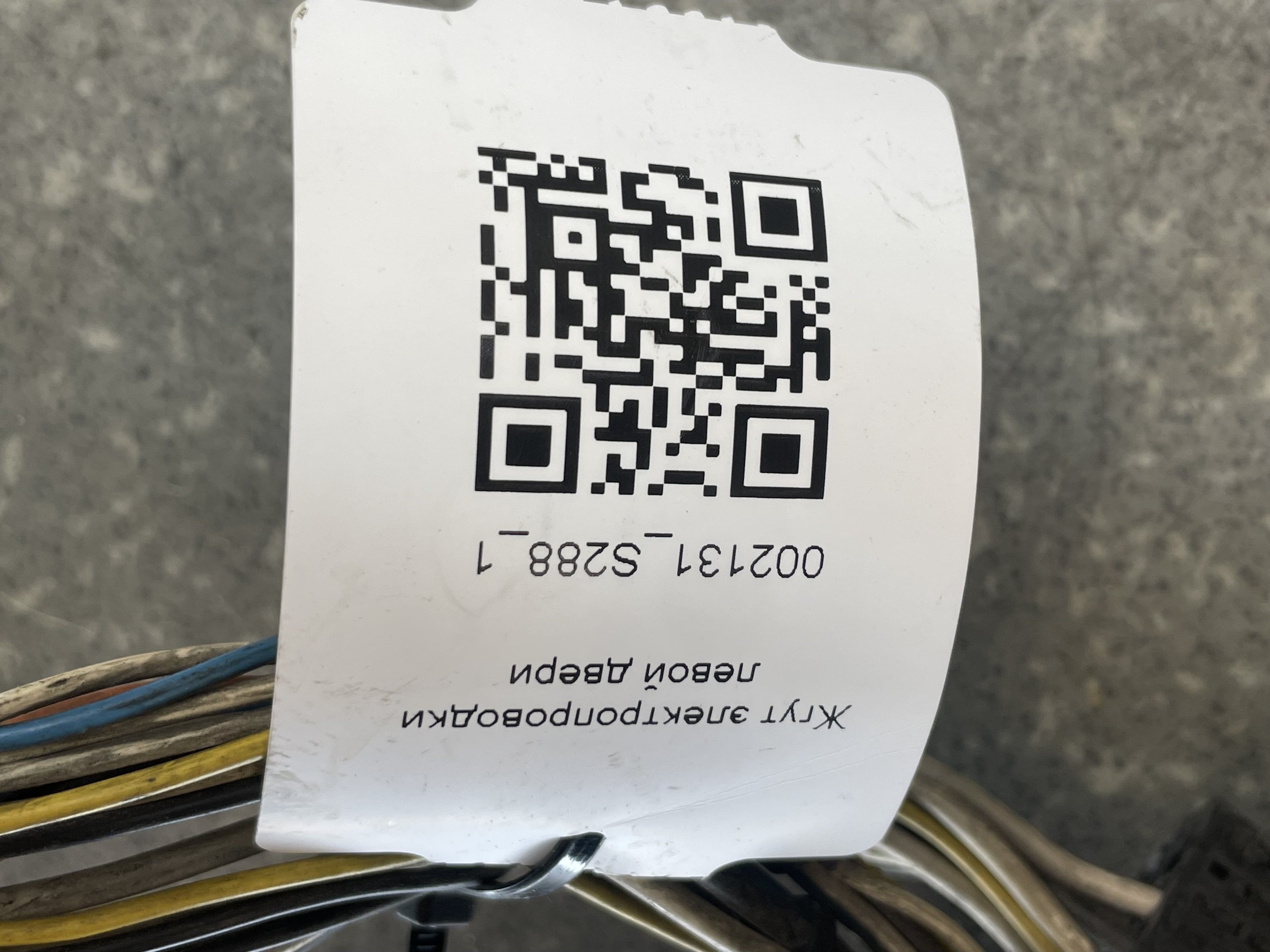 photo-11