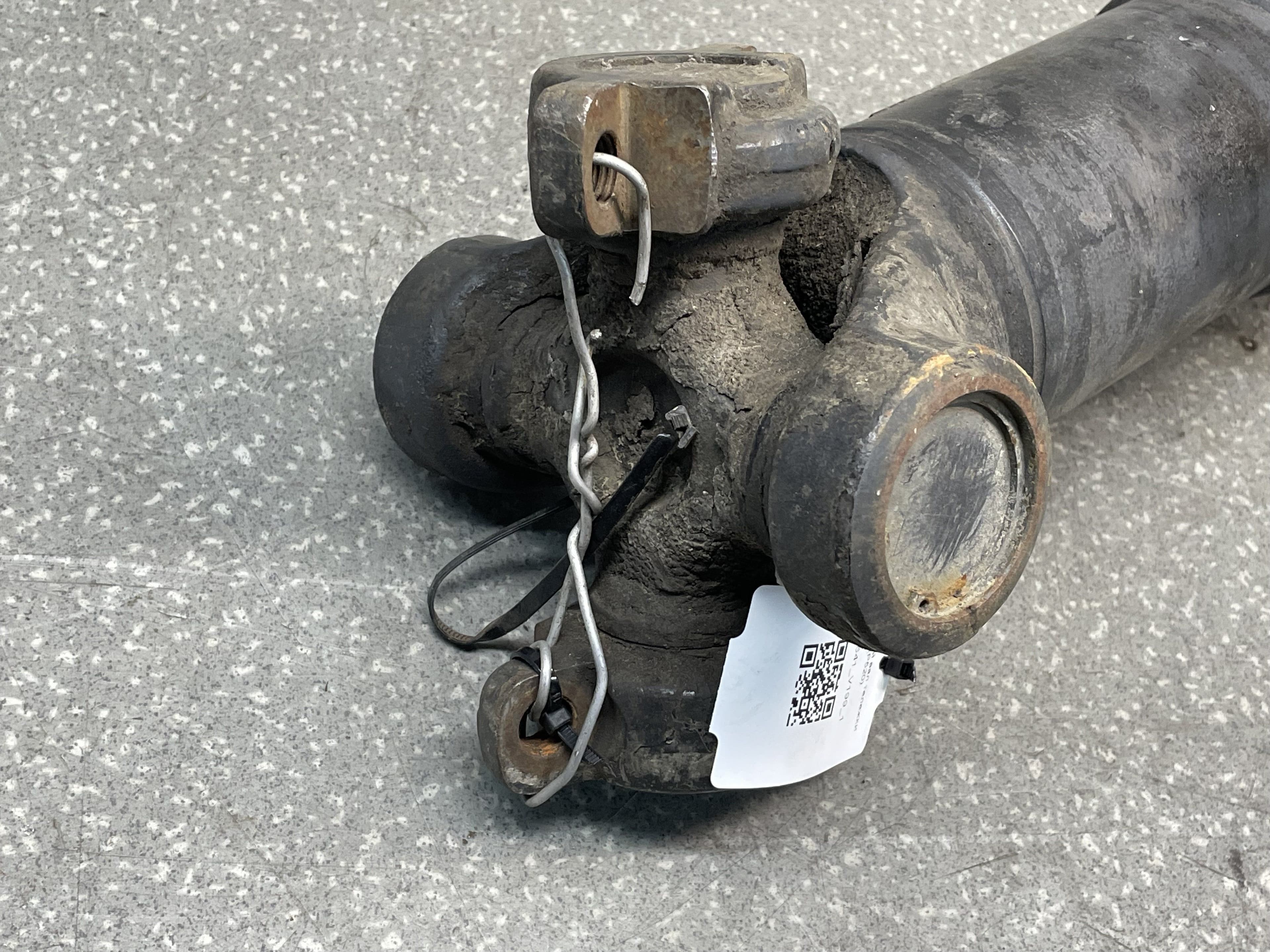 photo-1