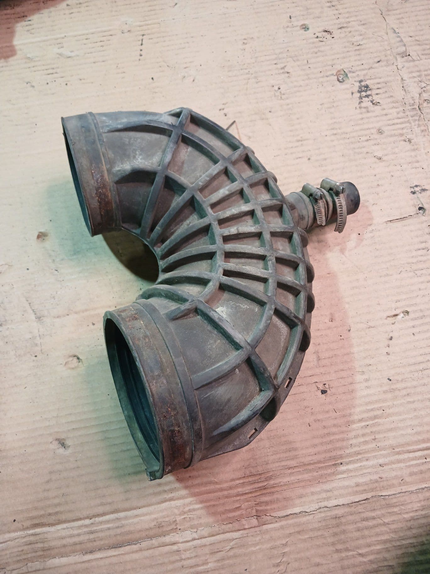 photo-1