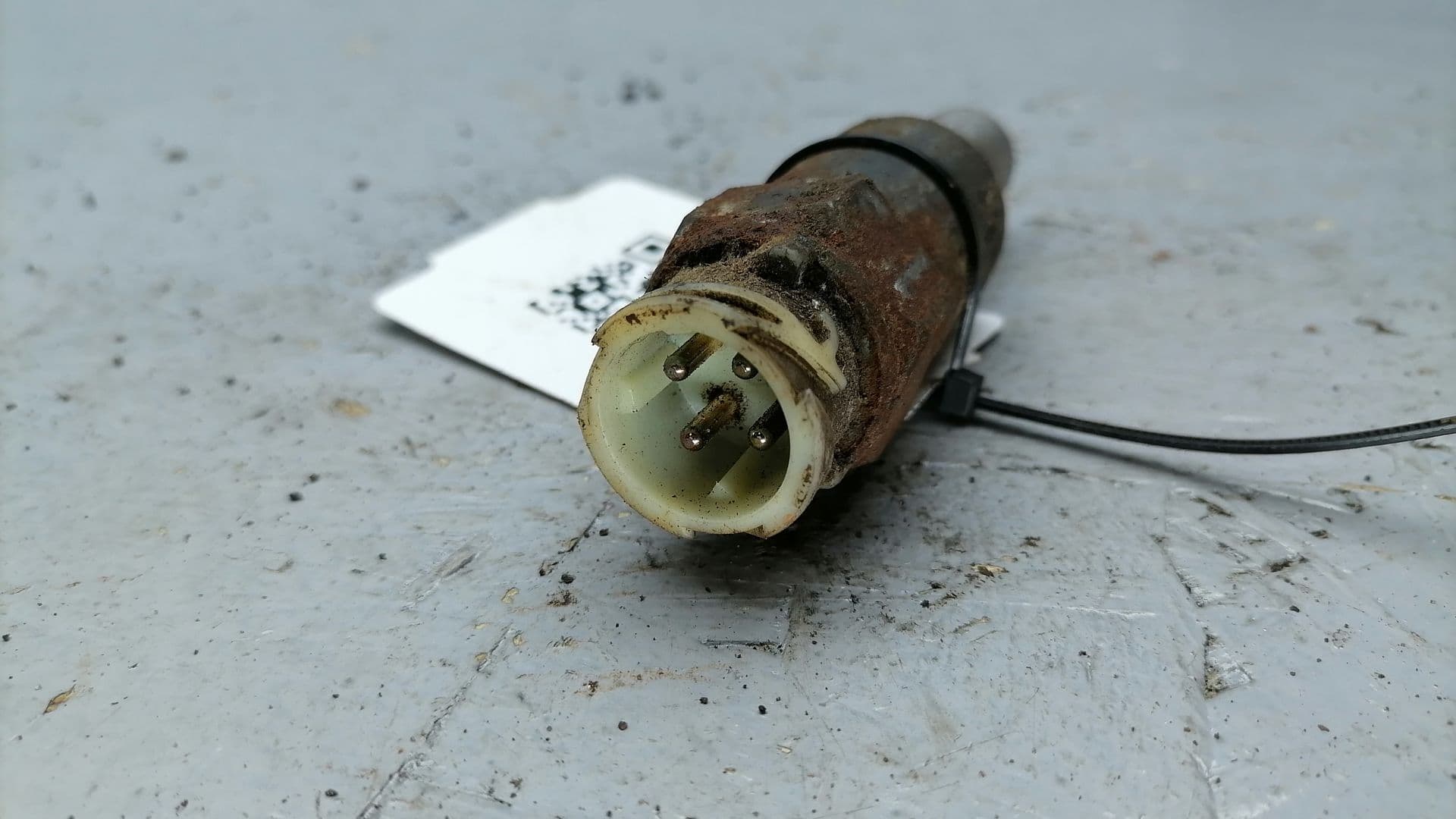 photo-2