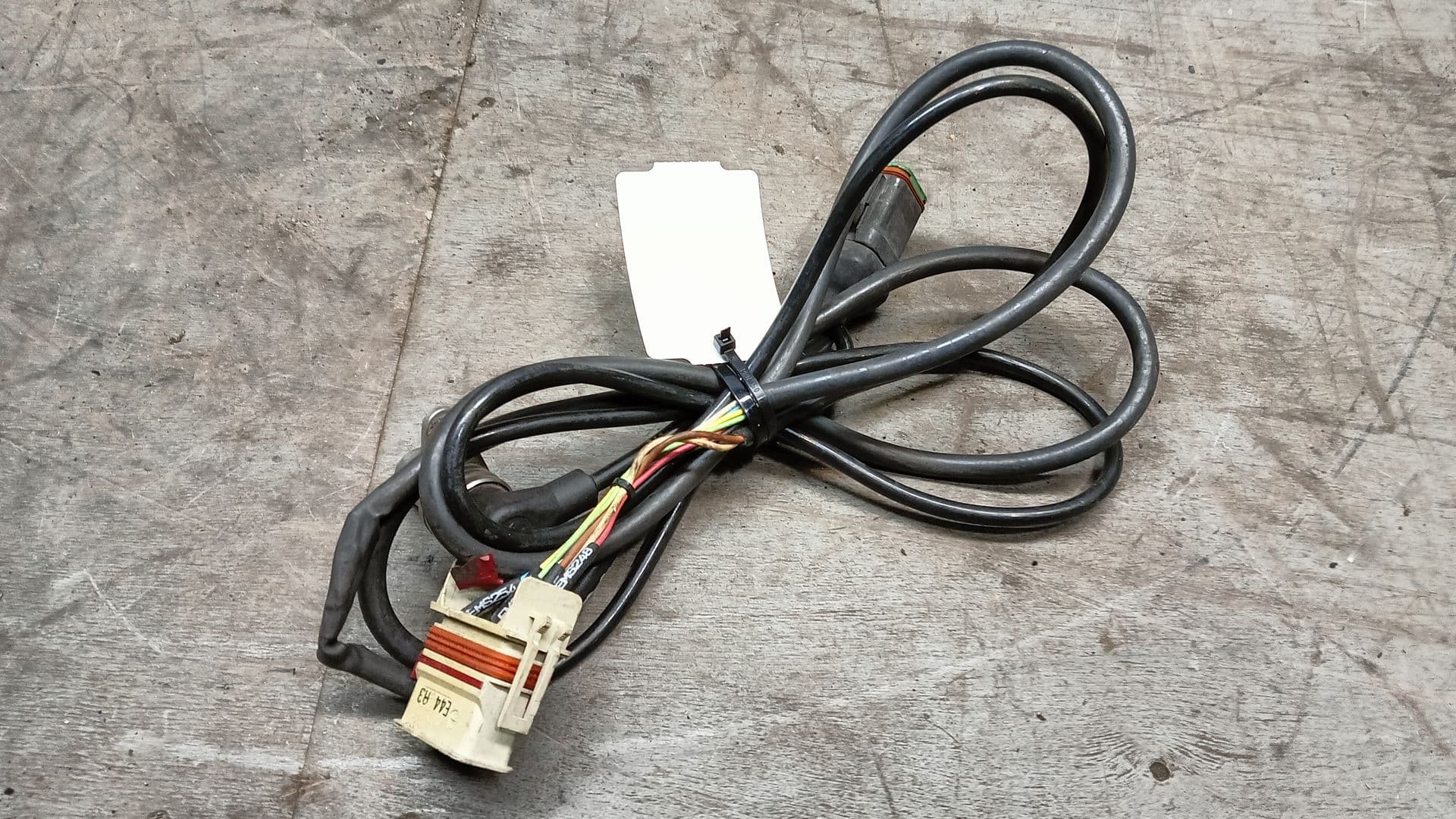 photo-1