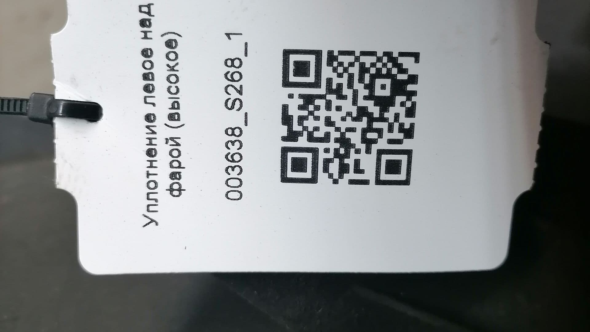photo-3