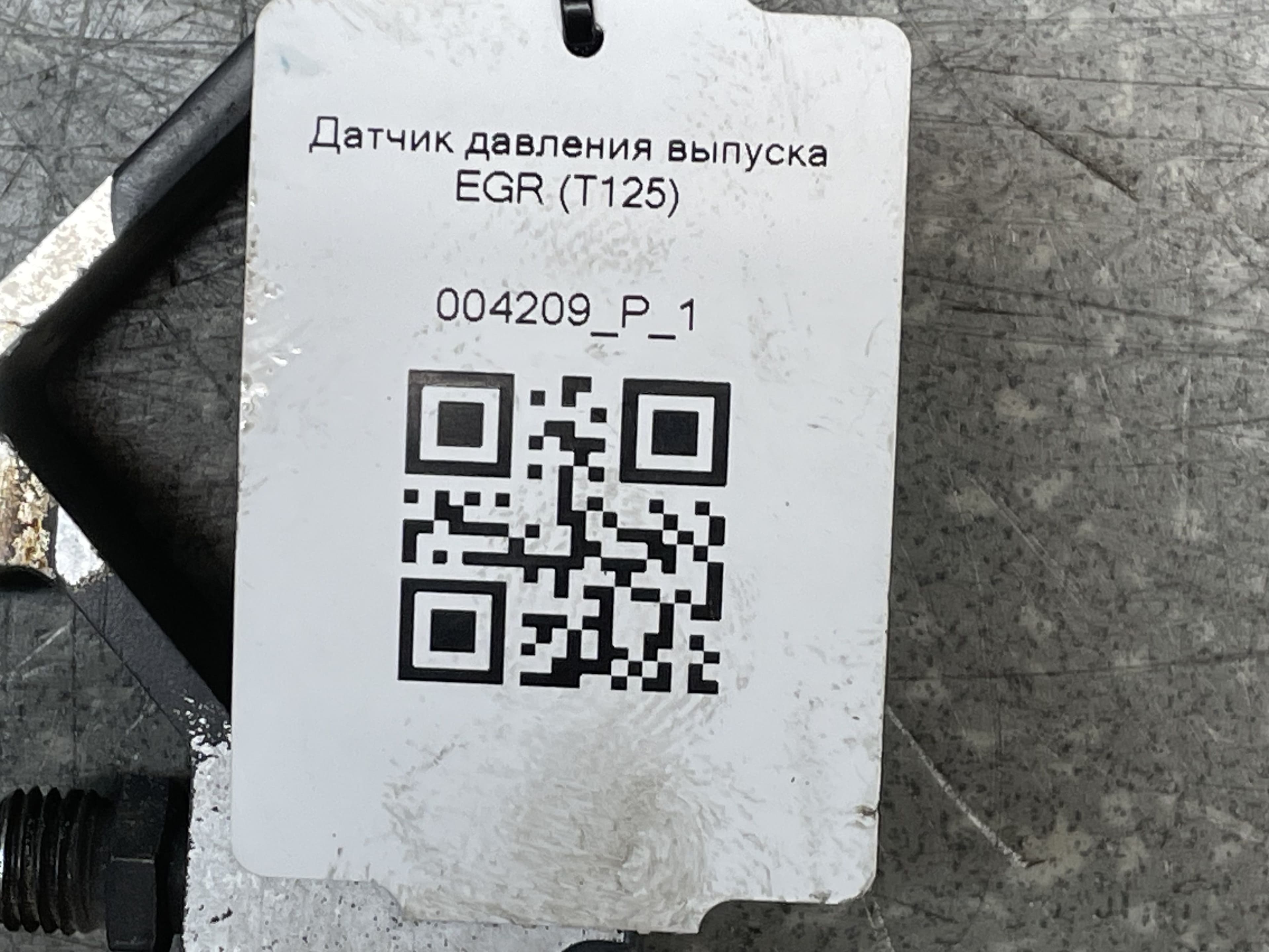 photo-3