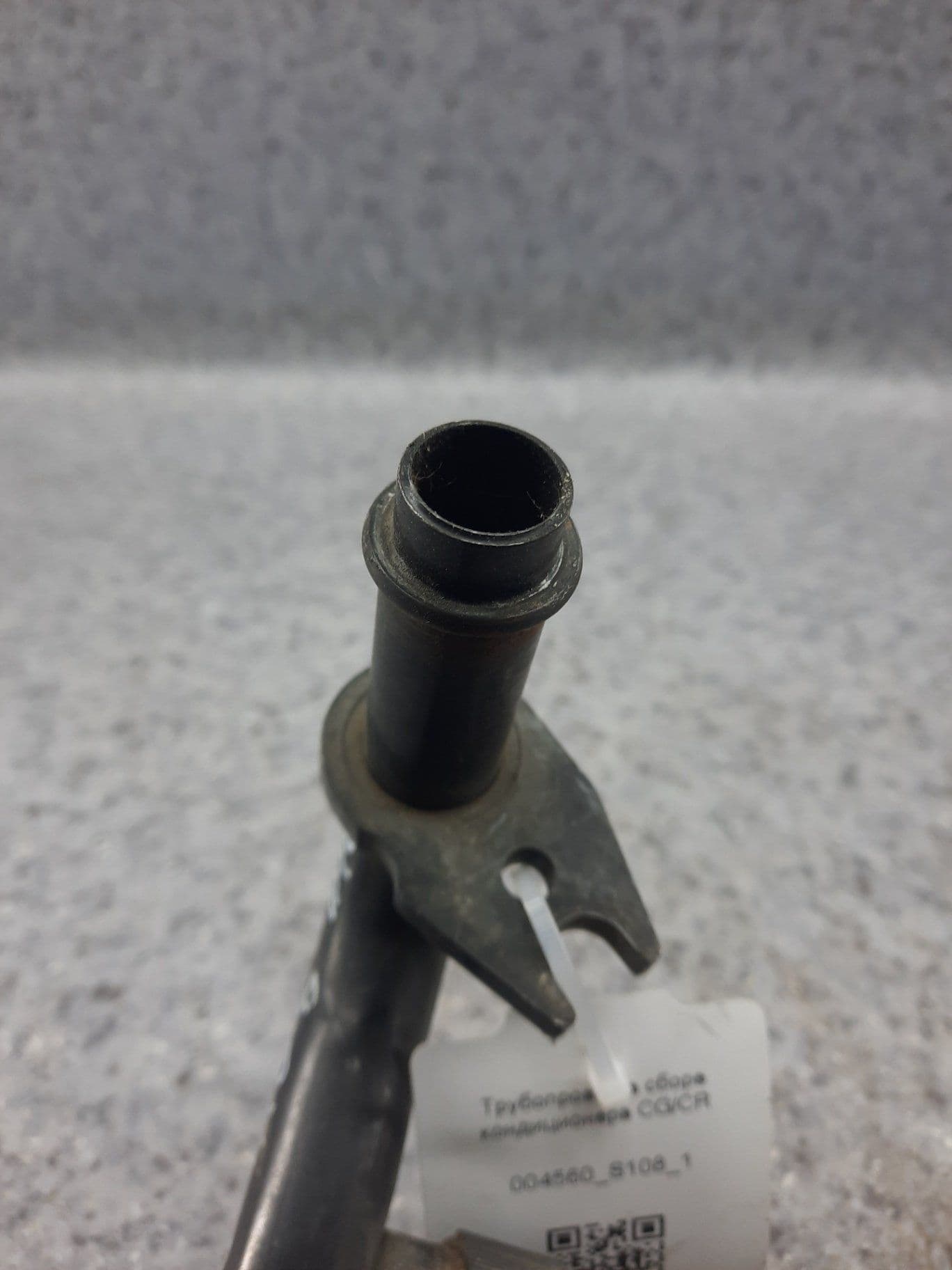 photo-1