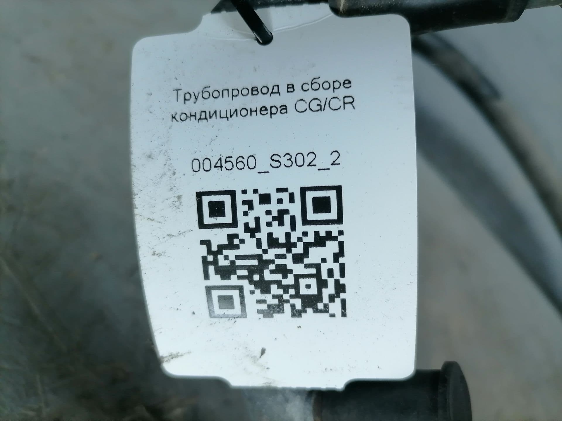 photo-5