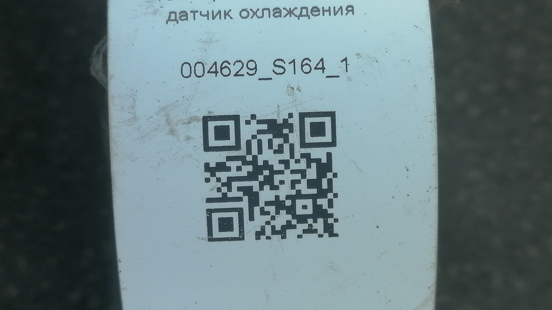 photo-3