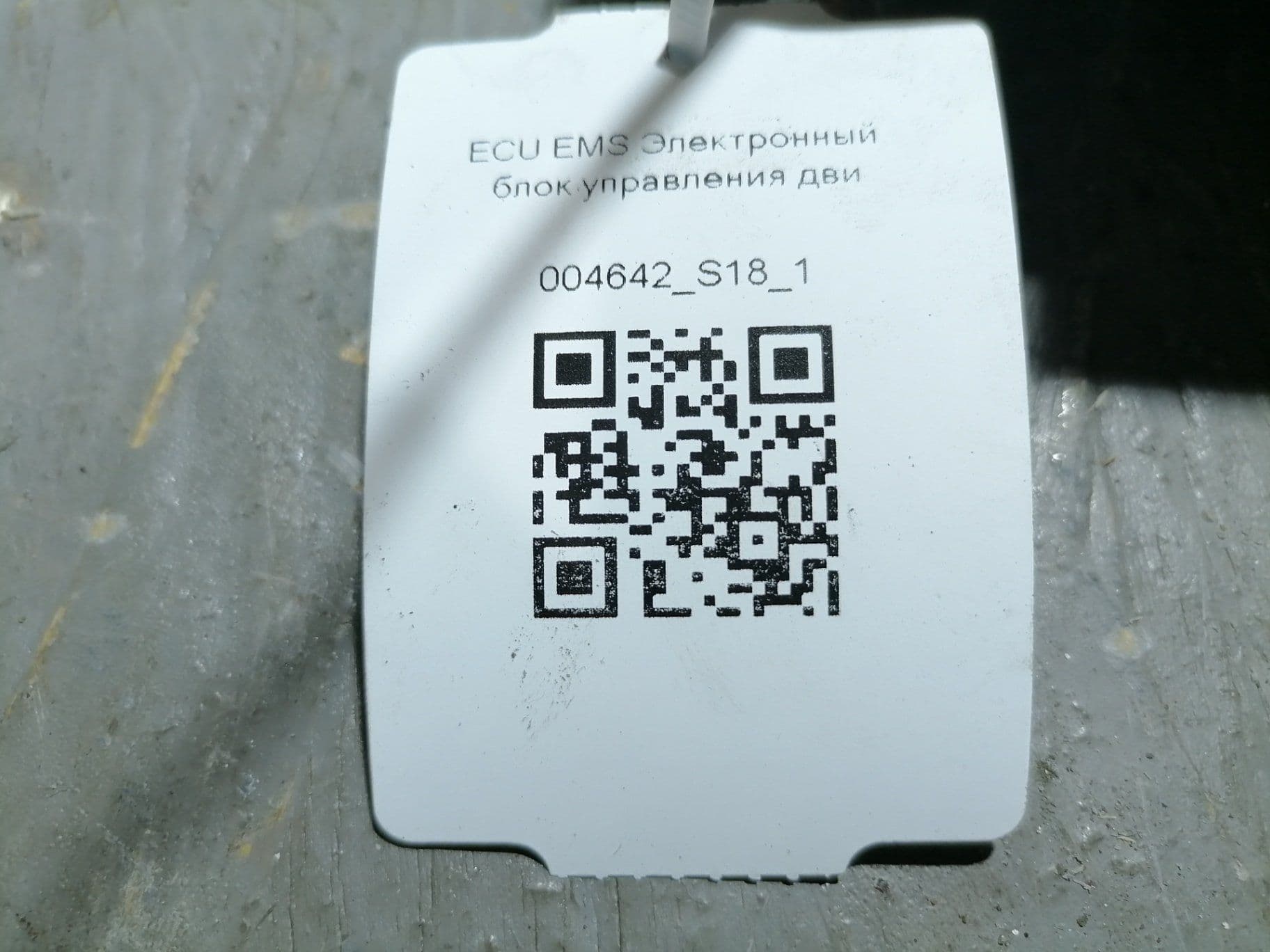photo-1