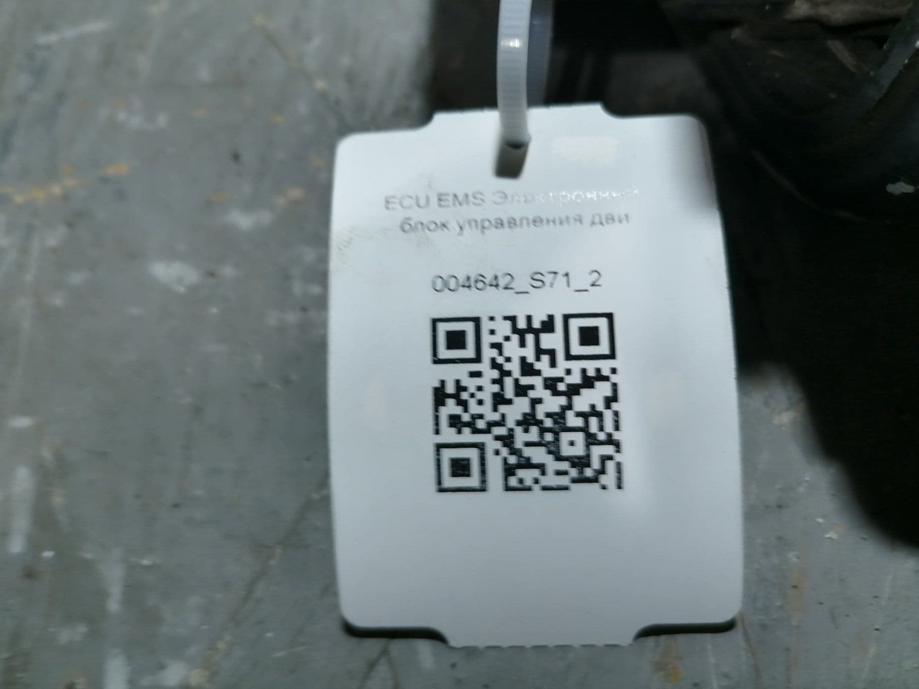 photo-1