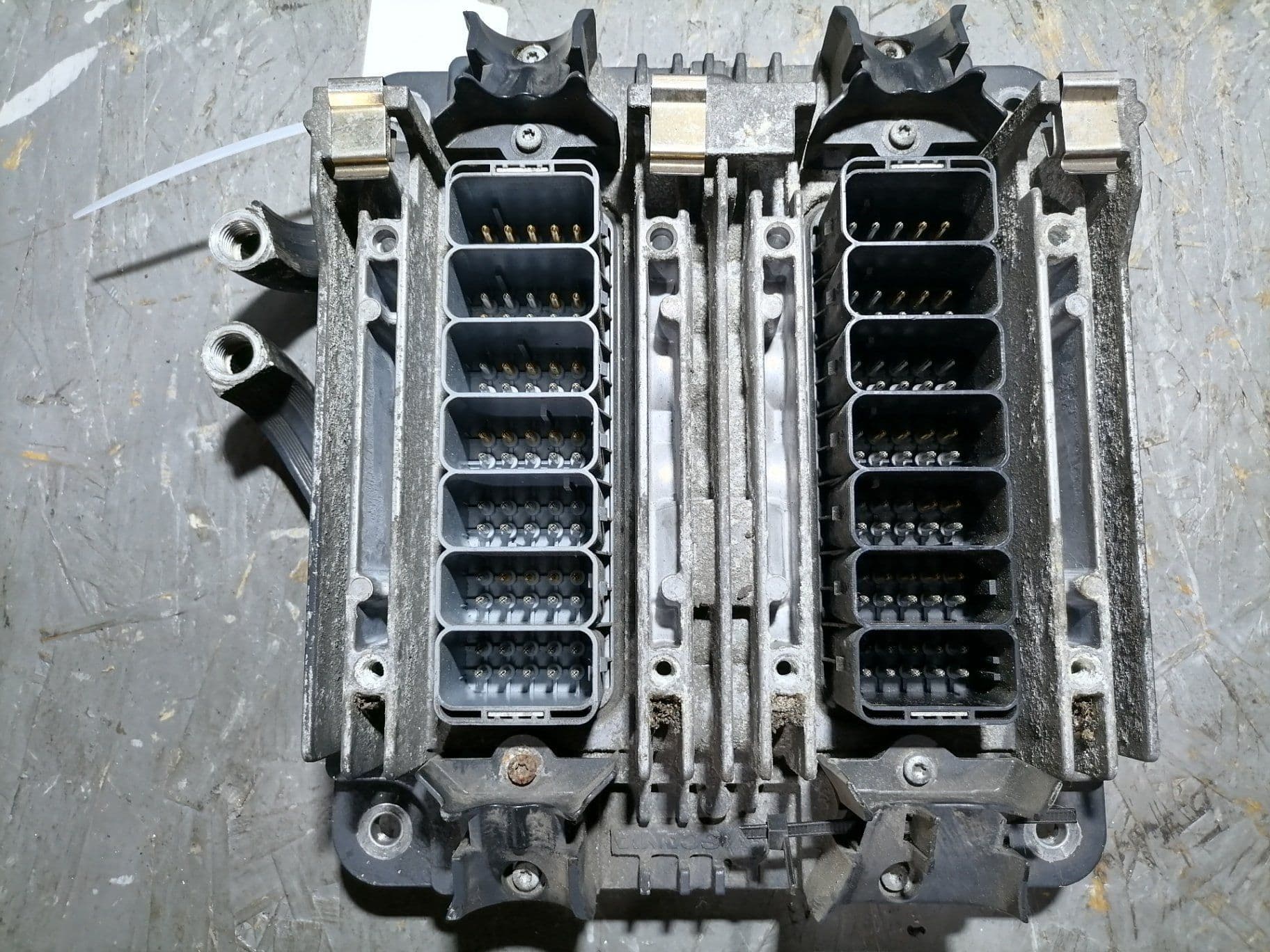 photo-3