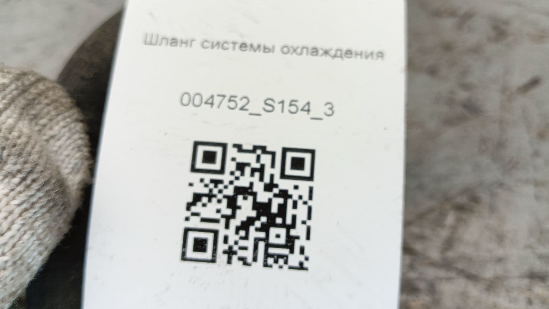 photo-7
