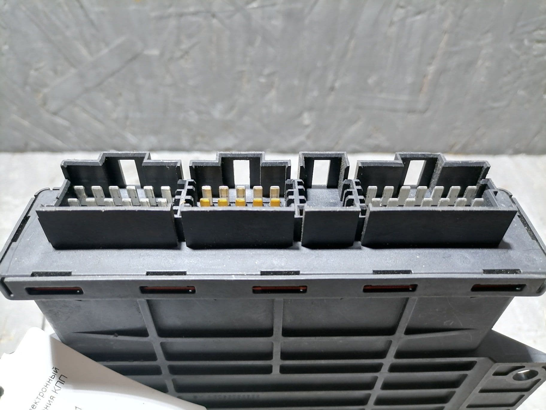 photo-1