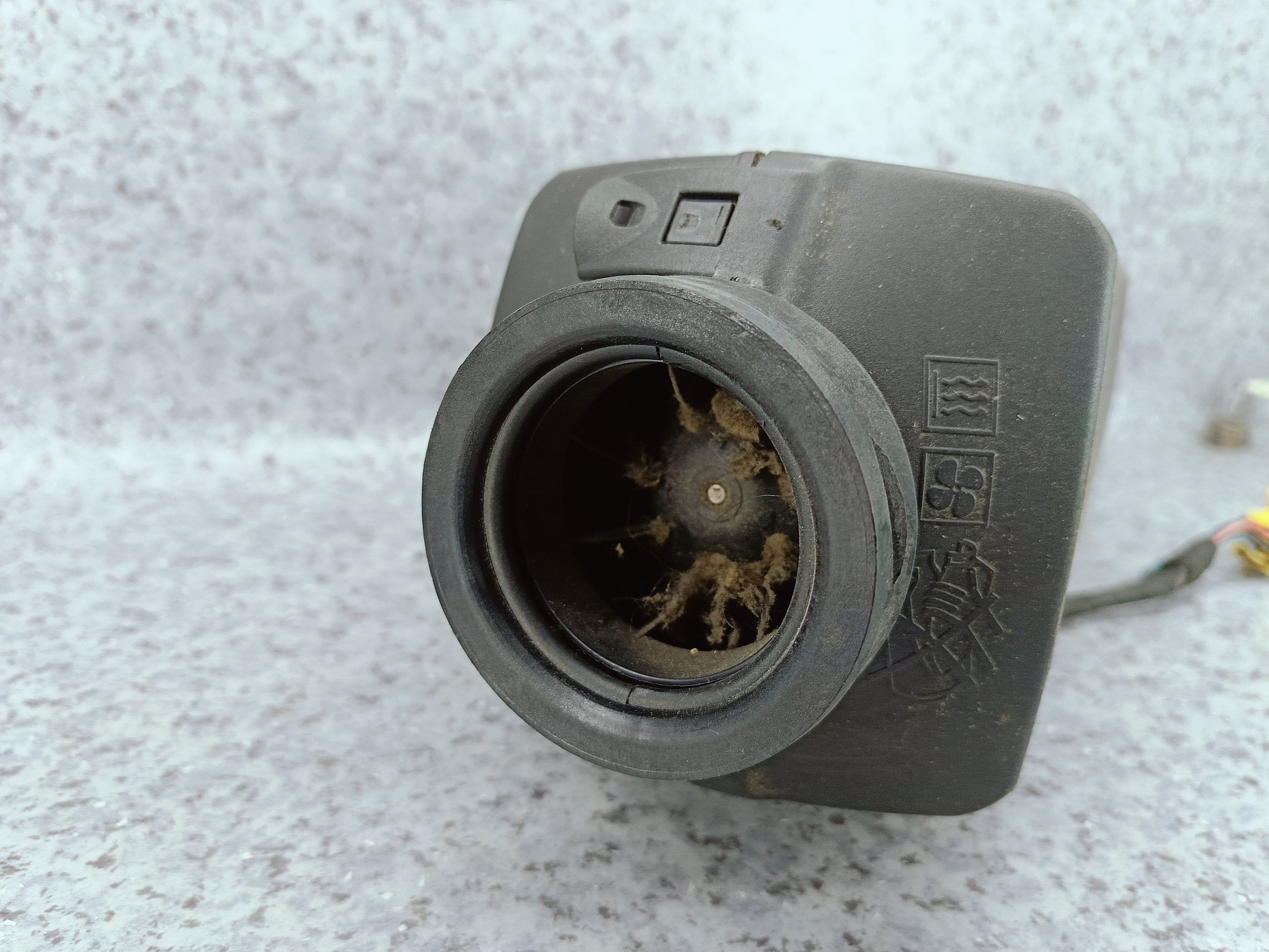 photo-2