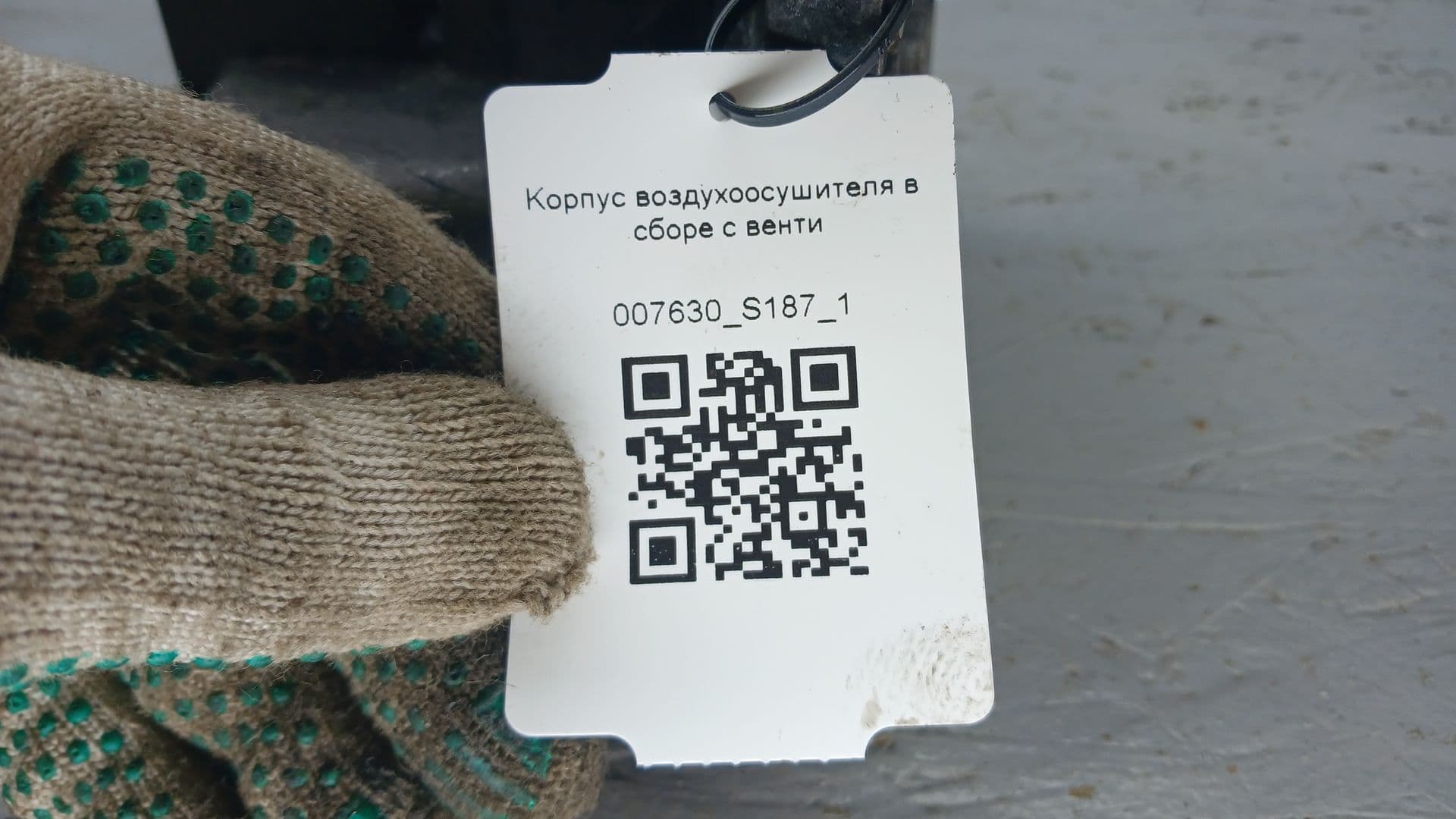 photo-7