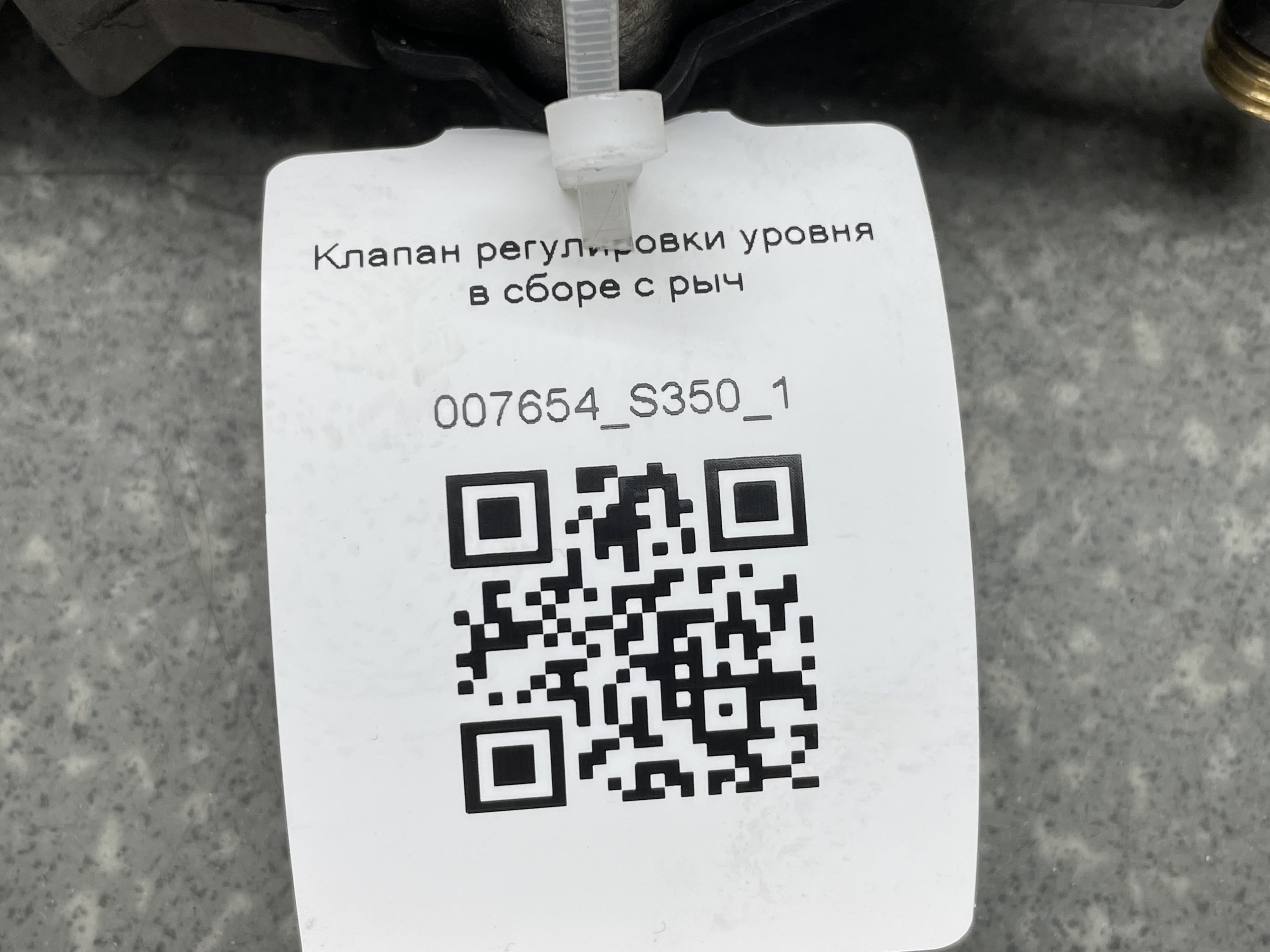 photo-3