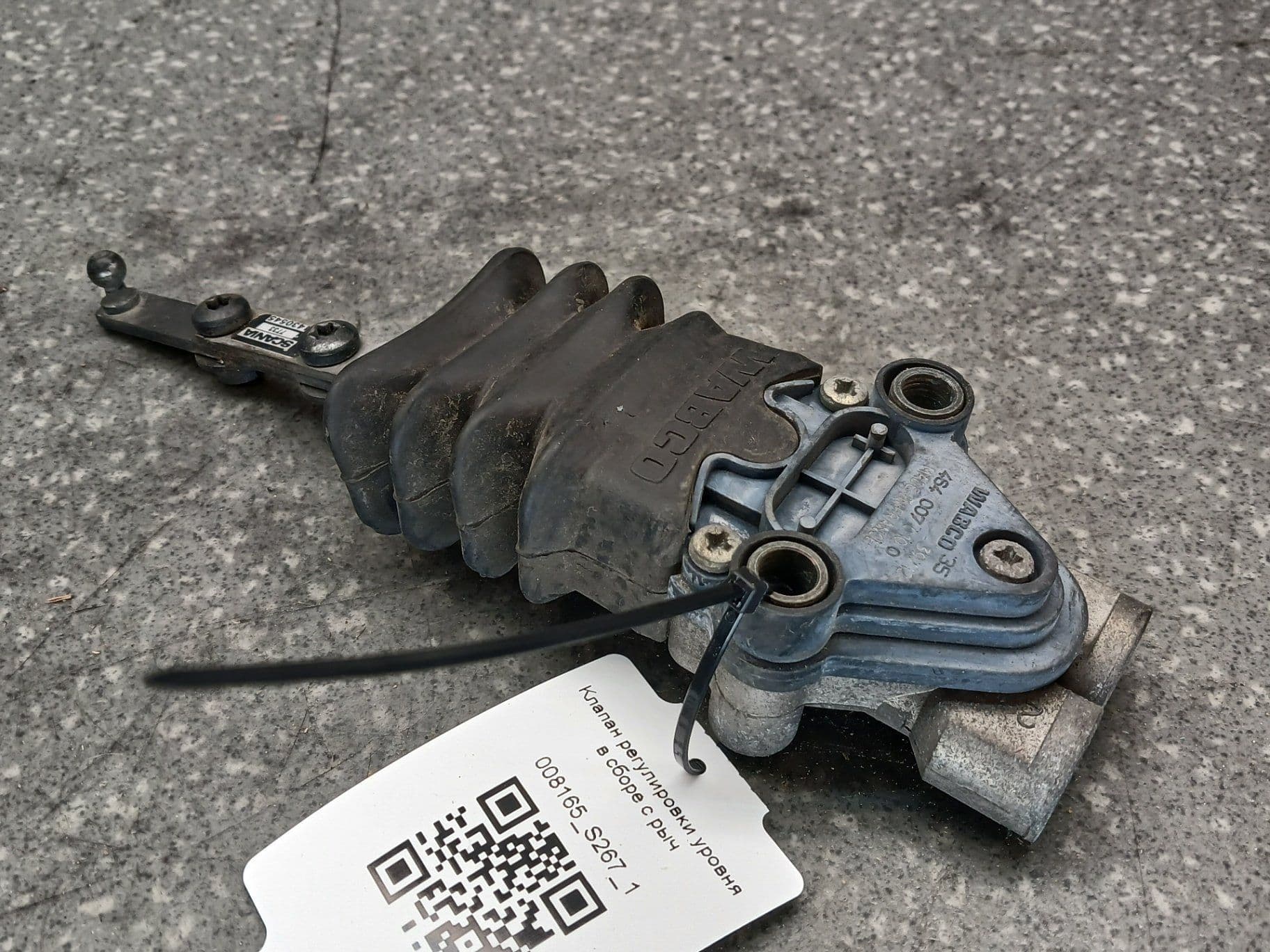 photo-3