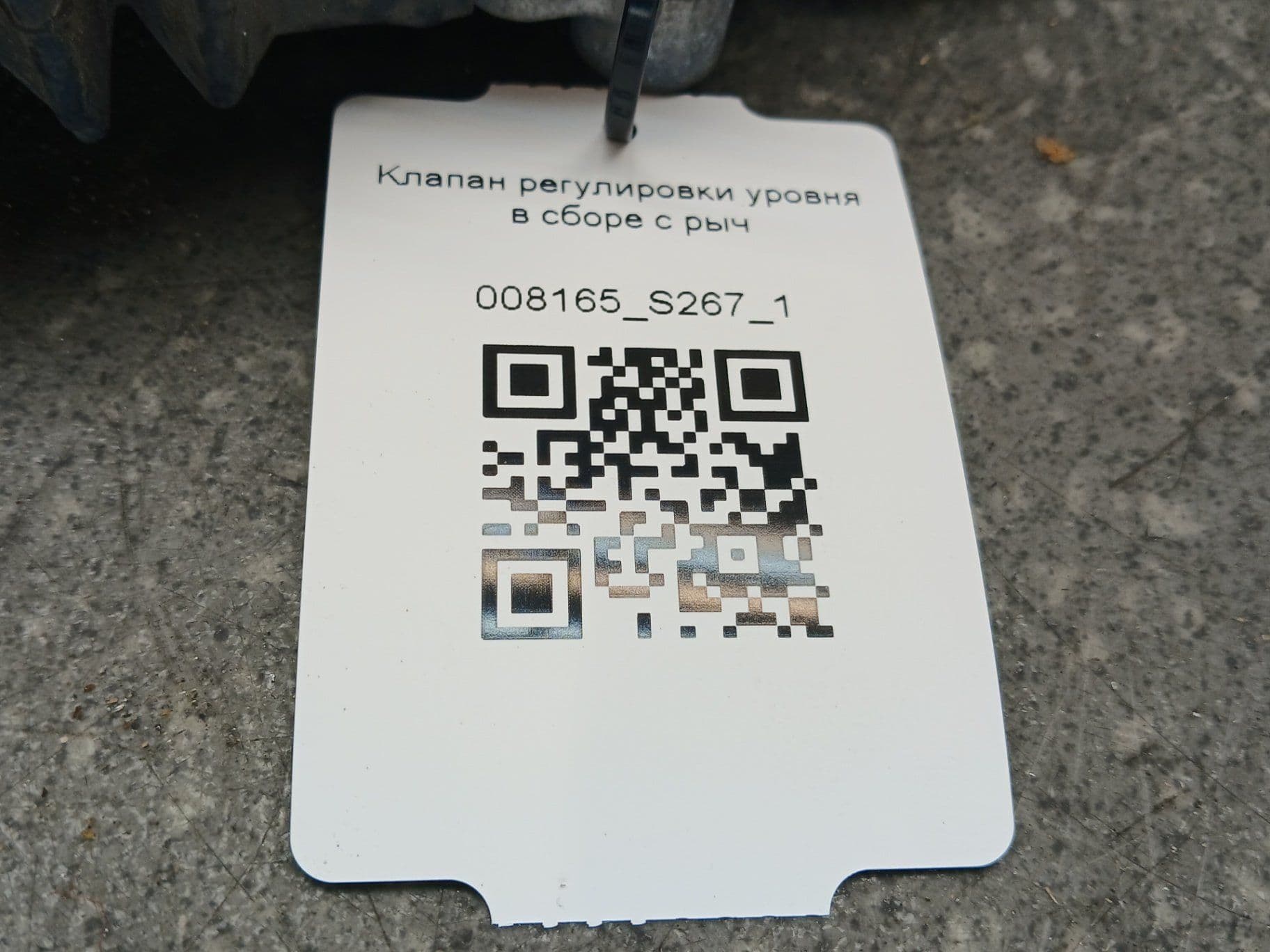 photo-4