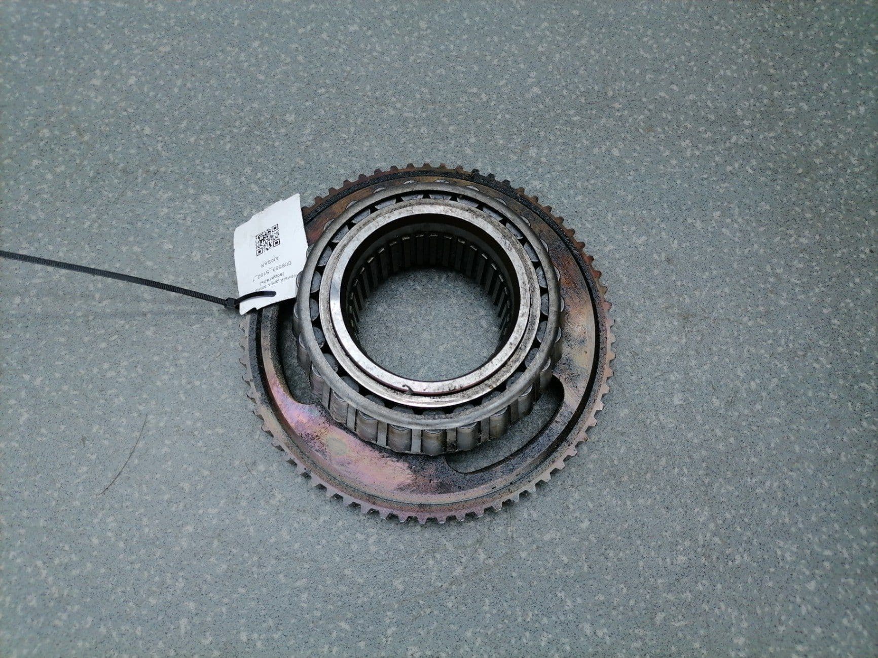 photo-1