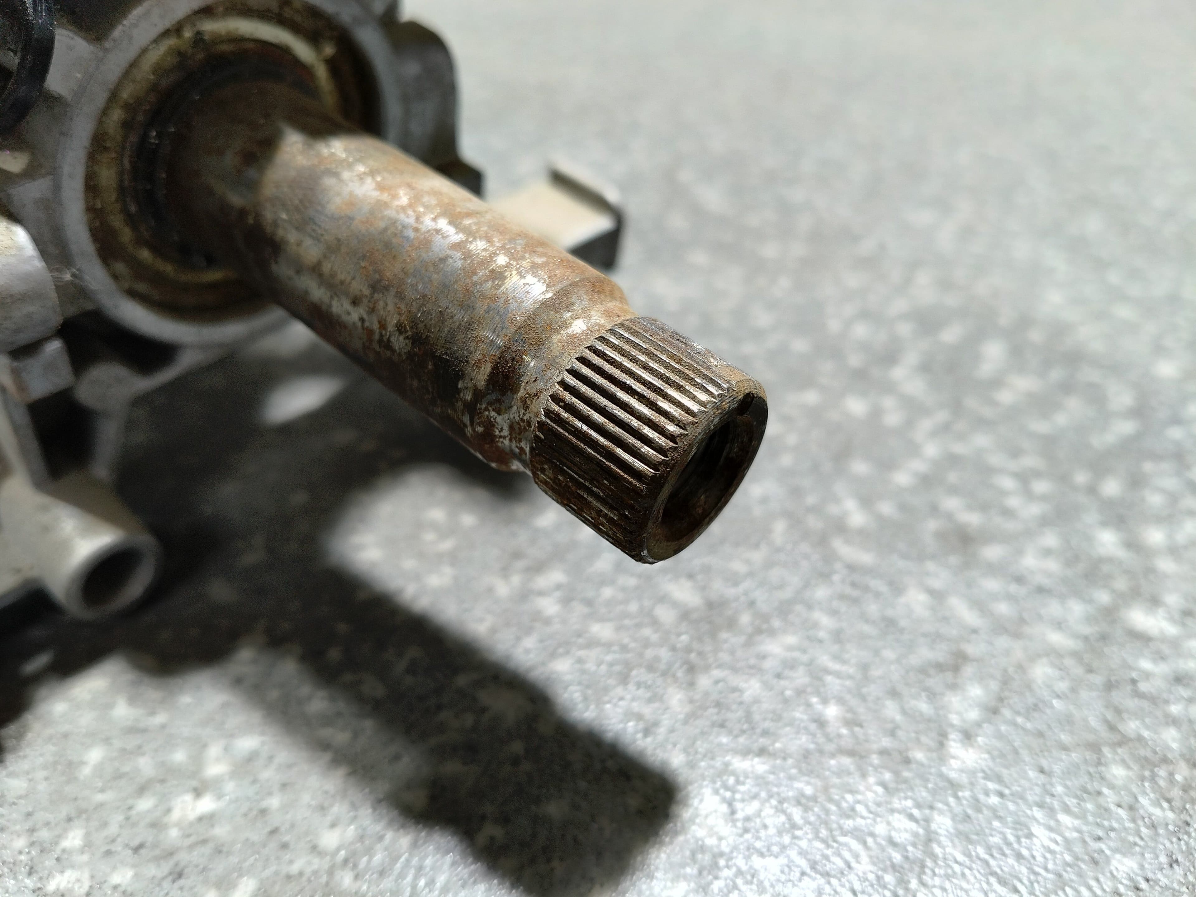 photo-3