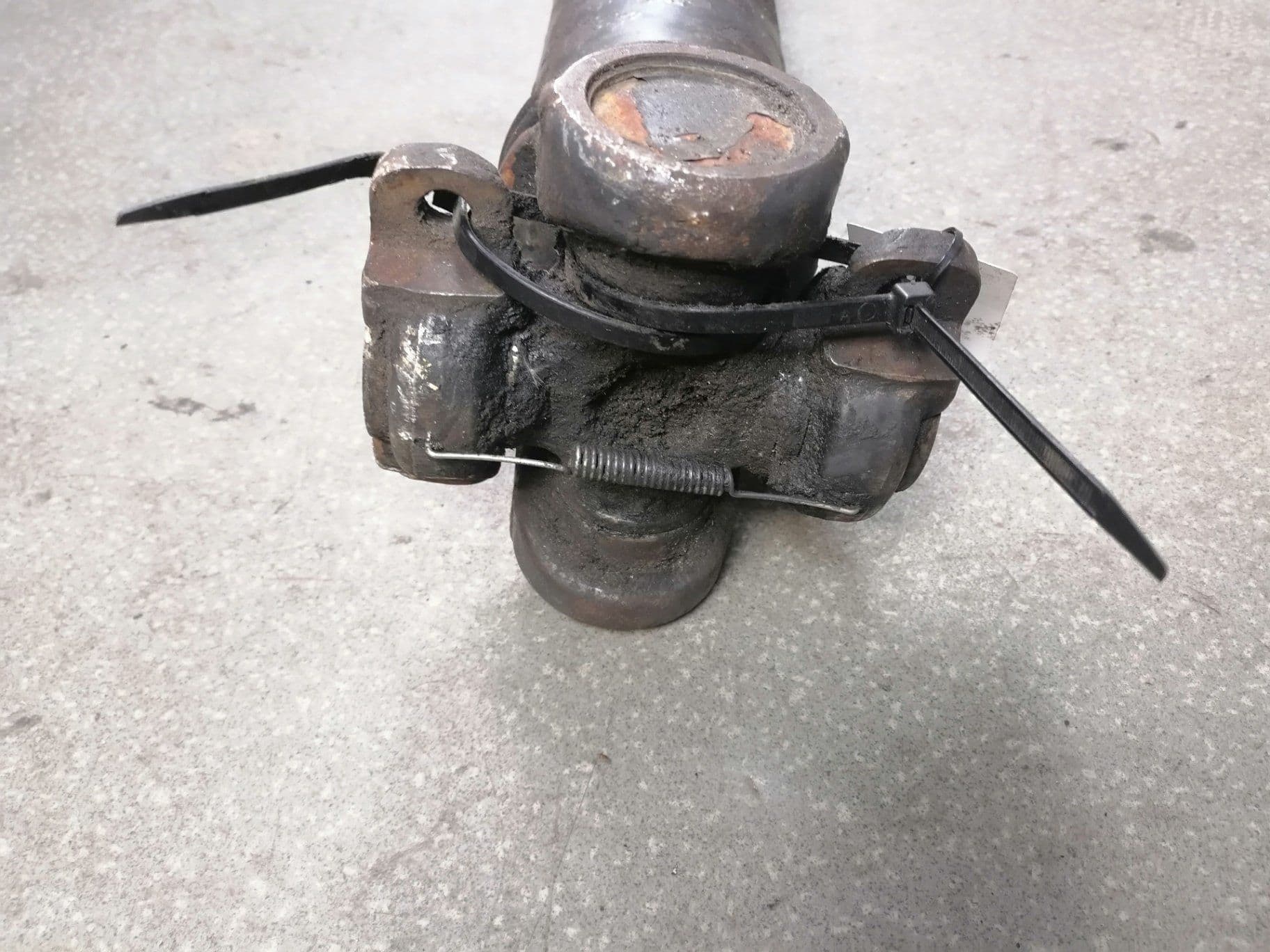 photo-1