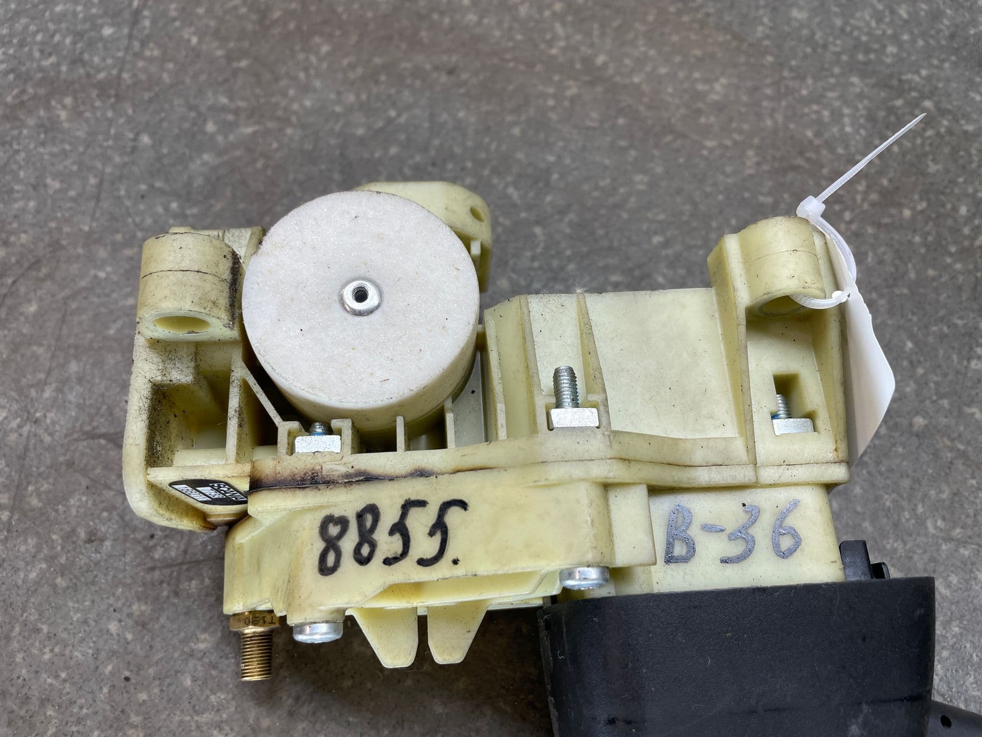 photo-1