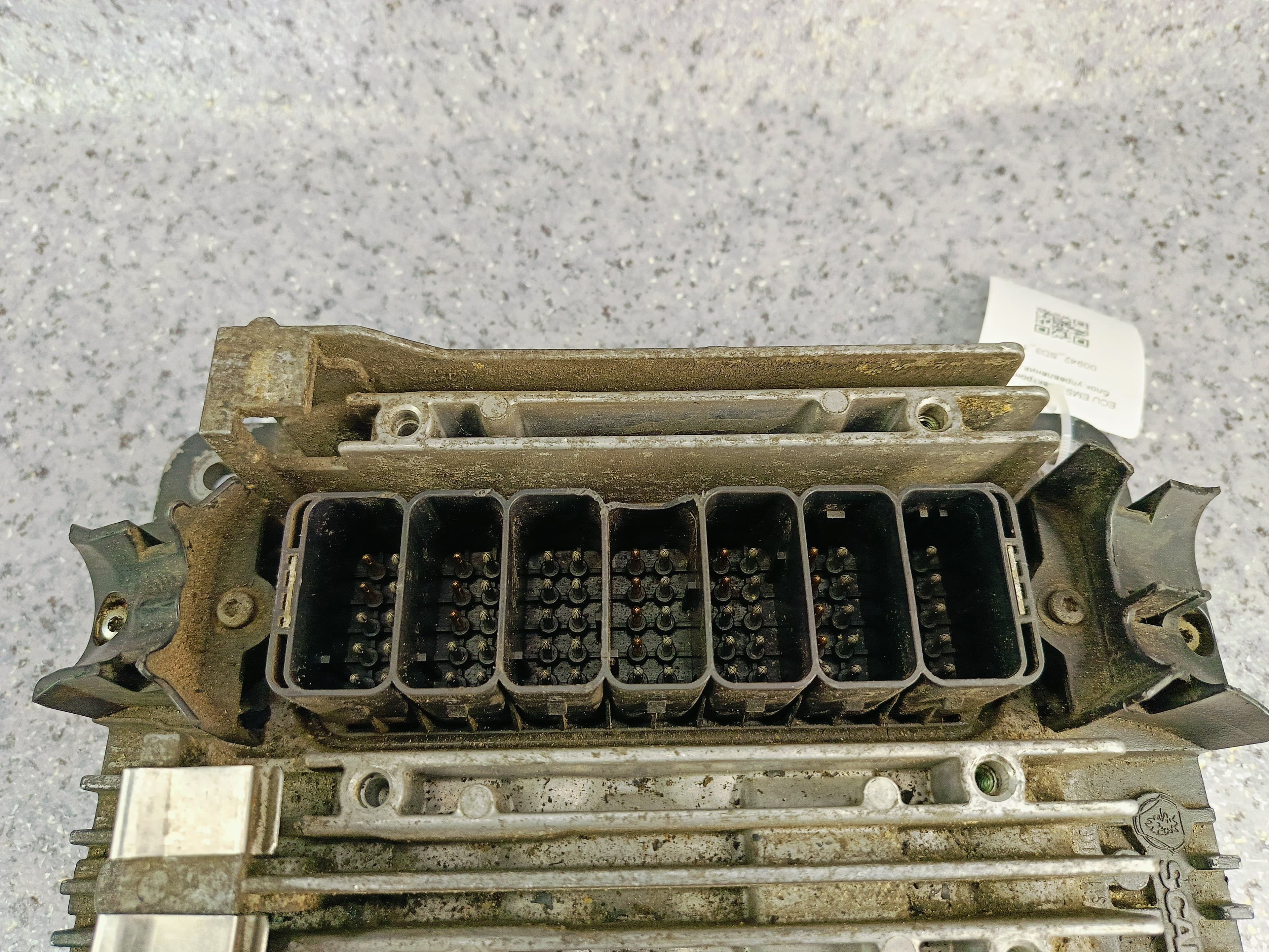 photo-3