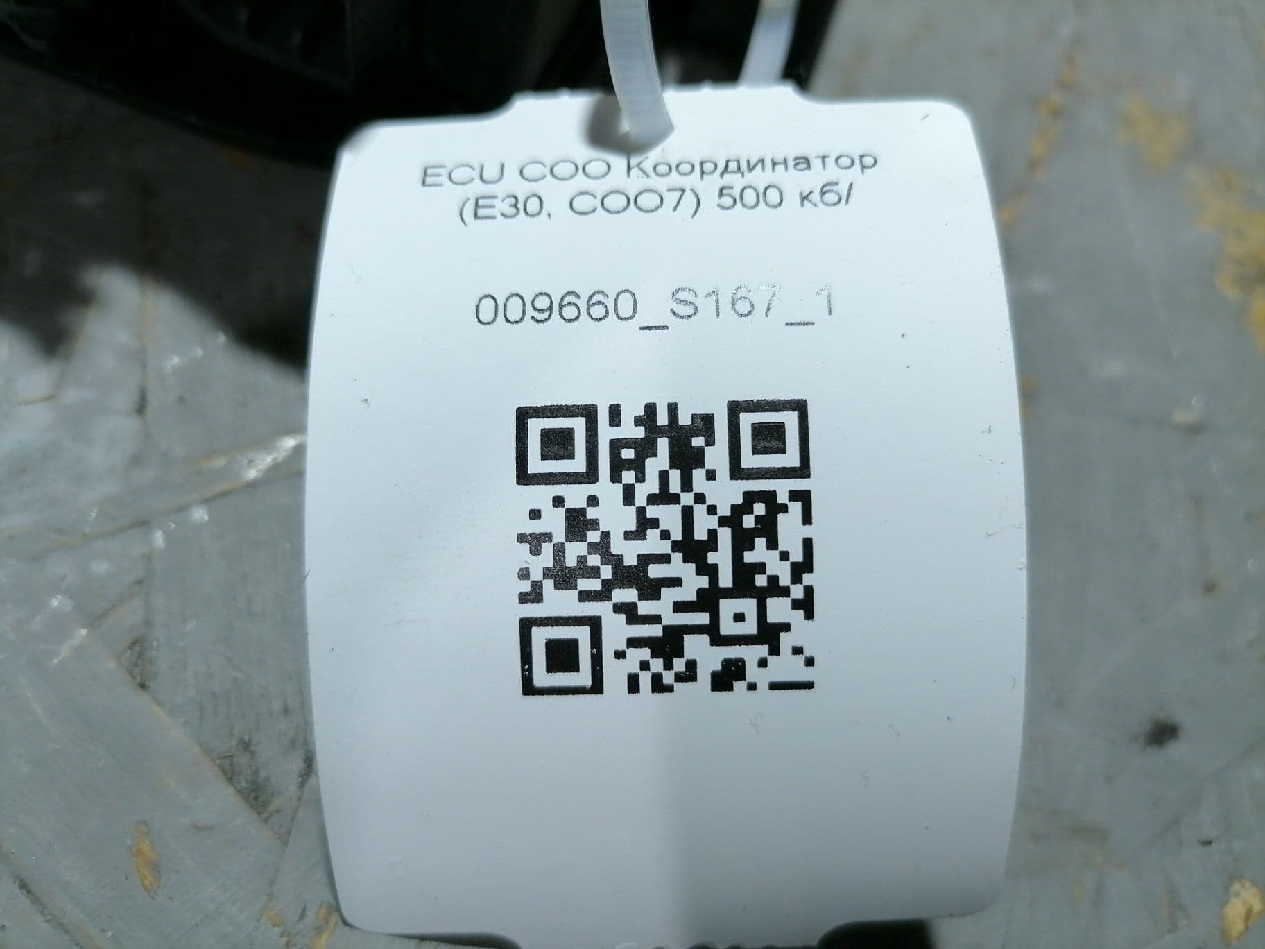 photo-1