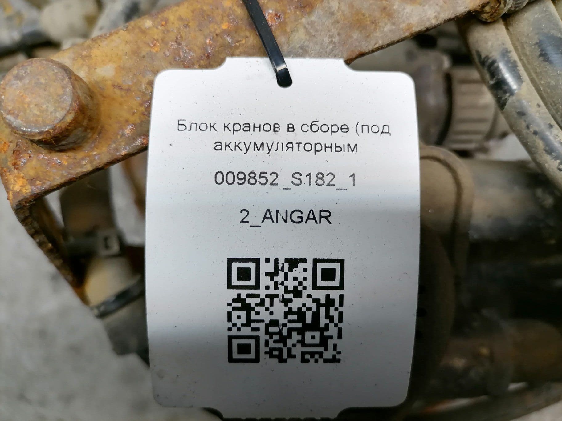 photo-1
